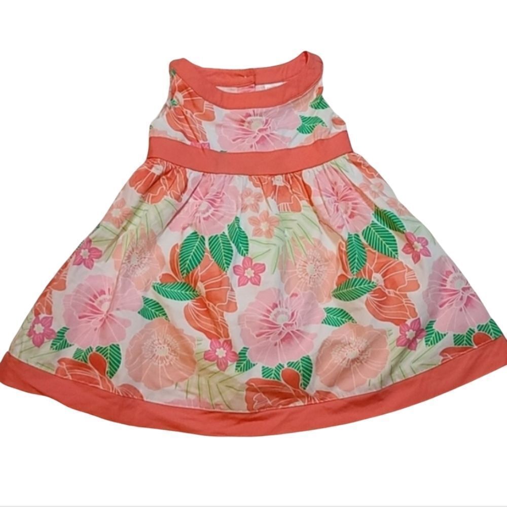 Gymboree Fairy Bloosom Dress 12 month & 18 month NWOT